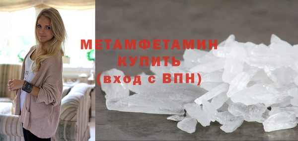 прущие грибы Тихвин
