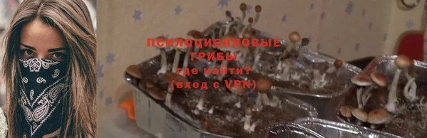 бутират Чекалин