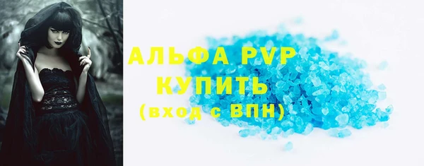индика Медногорск