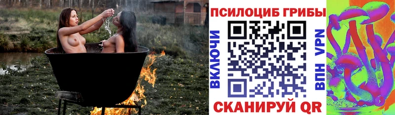Галлюциногенные грибы GOLDEN TEACHER  как найти наркотики  МЕГА как зайти  Холмск 