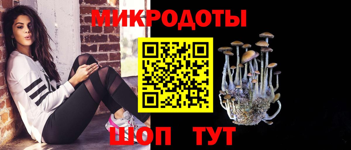 Холмск  Псилоцибиновые грибы GOLDEN TEACHER  Галлюциногенные грибы GOLDEN TEACHER  Вход с VPN 