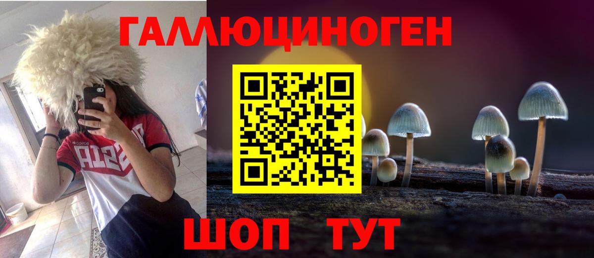 Галлюциногенные грибы Psilocybe Холмск