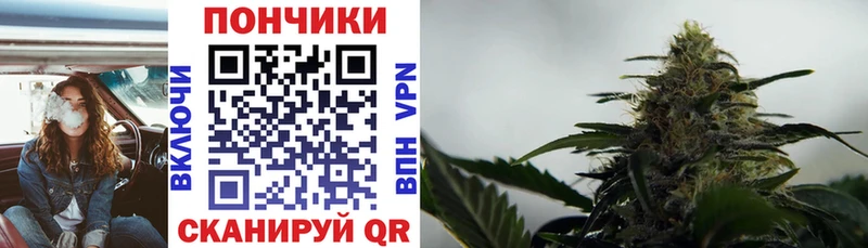 Бошки Шишки THC 21%  Холмск 